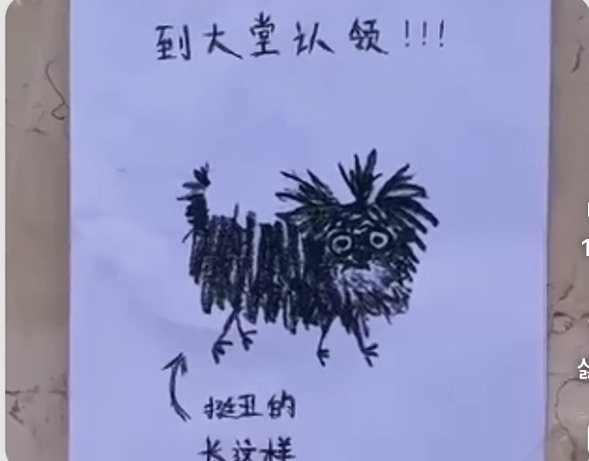 이 강아지 주인은 찾아가시오.jpg | 인스티즈