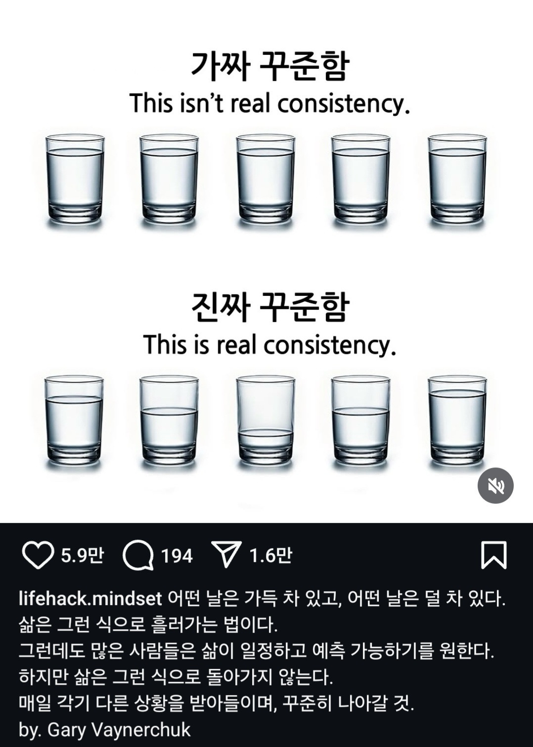 진짜 꾸준함 vs 가짜 꾸준함 | 인스티즈