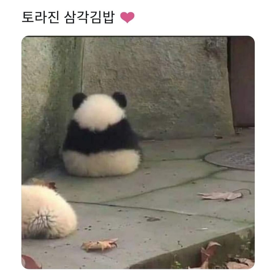 말랑 이미지