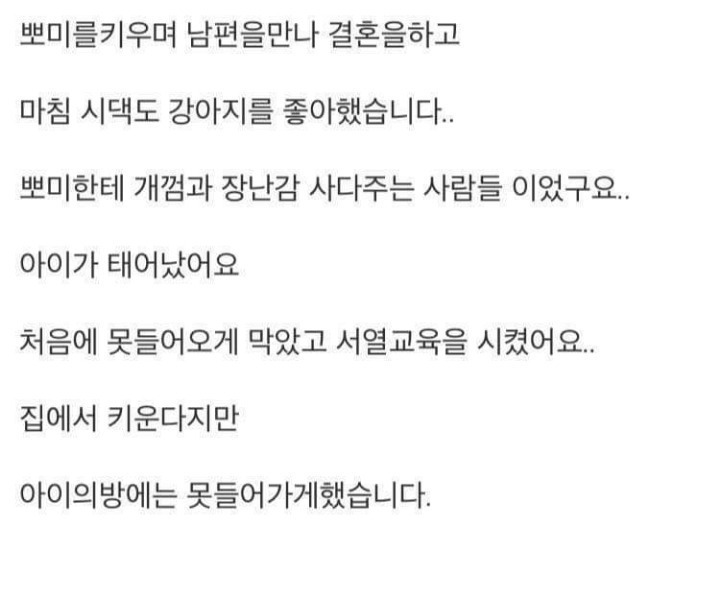 18년키운 강아지가 죽었는데 | 인스티즈