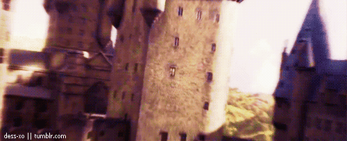 해리포터에서 가장 기억에 남는 남돌 그룹 메인 댄서 중 가장 본인 스타일 아이돌은?빗자루 비행 씬은? | 인스티즈