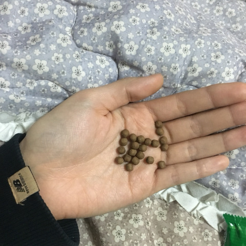 장염 달고사는 사람들만 아는 약 - 악플달면 쩌리쩌려버려 - ＊여성시대＊ 차분한 20대들의 알흠다운 공간 장염 달고사는 사람들만 아는 약