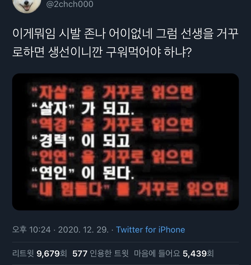 내가 좋아하는 단짠단짠 트윗모음 13 | 인스티즈