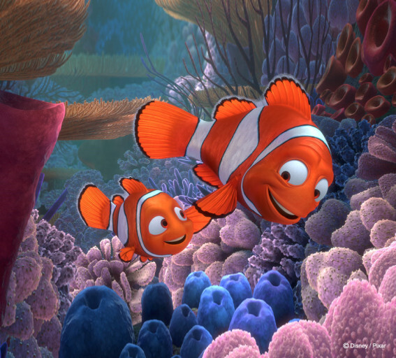 도리를 찾아서 실사화 가상 캐스팅 | 인스티즈