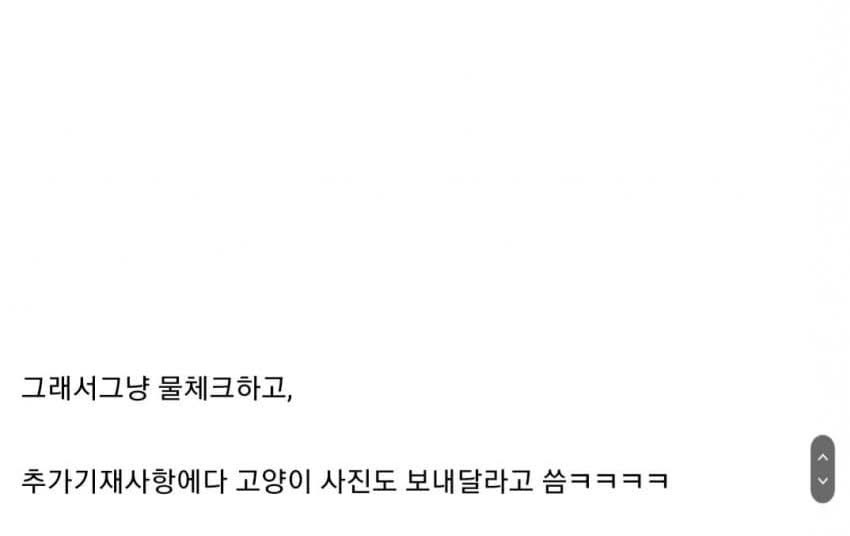 배달시켜먹다 겪은 귀여운 고양이썰 | 인스티즈