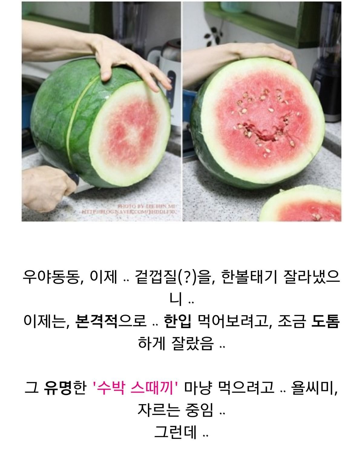 엄청 비싼 무등산 수박 리뷰 | 인스티즈