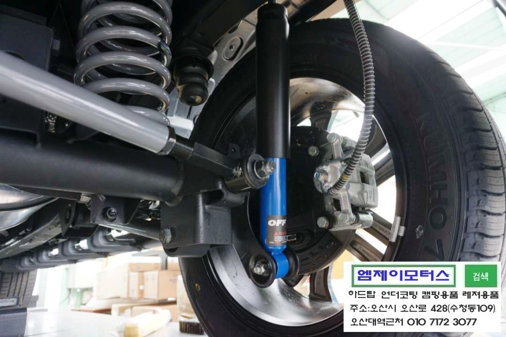 젤리스프링 이미지