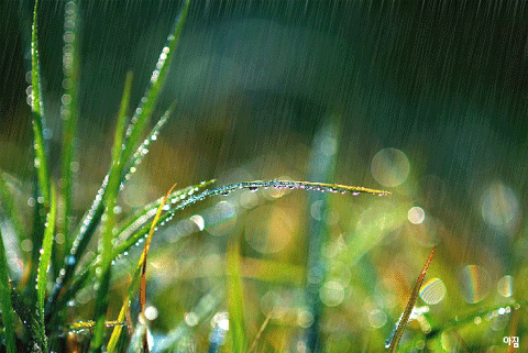 게시글 대표 이미지