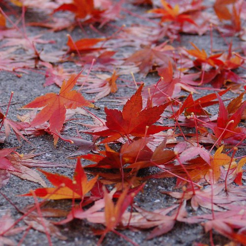 게시글 대표 이미지