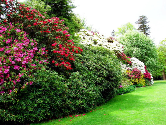 게시글 대표 이미지