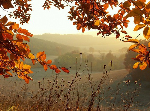 게시글 대표 이미지