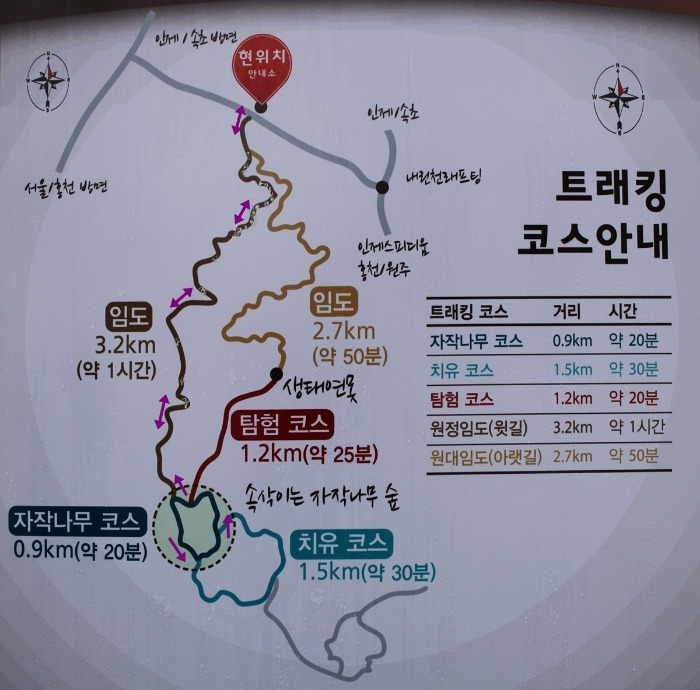 숲속나무교실 이미지