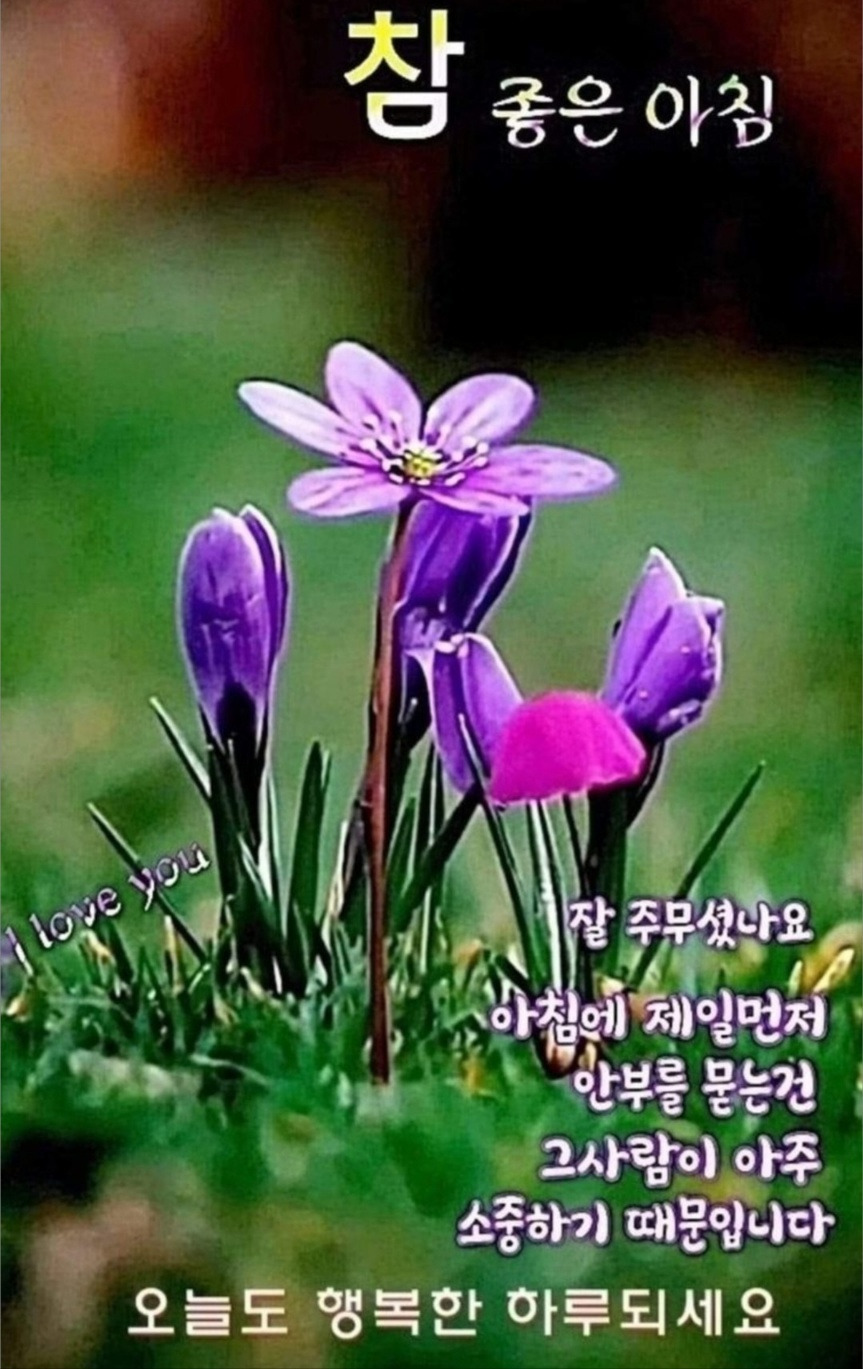 행복한하루 이미지