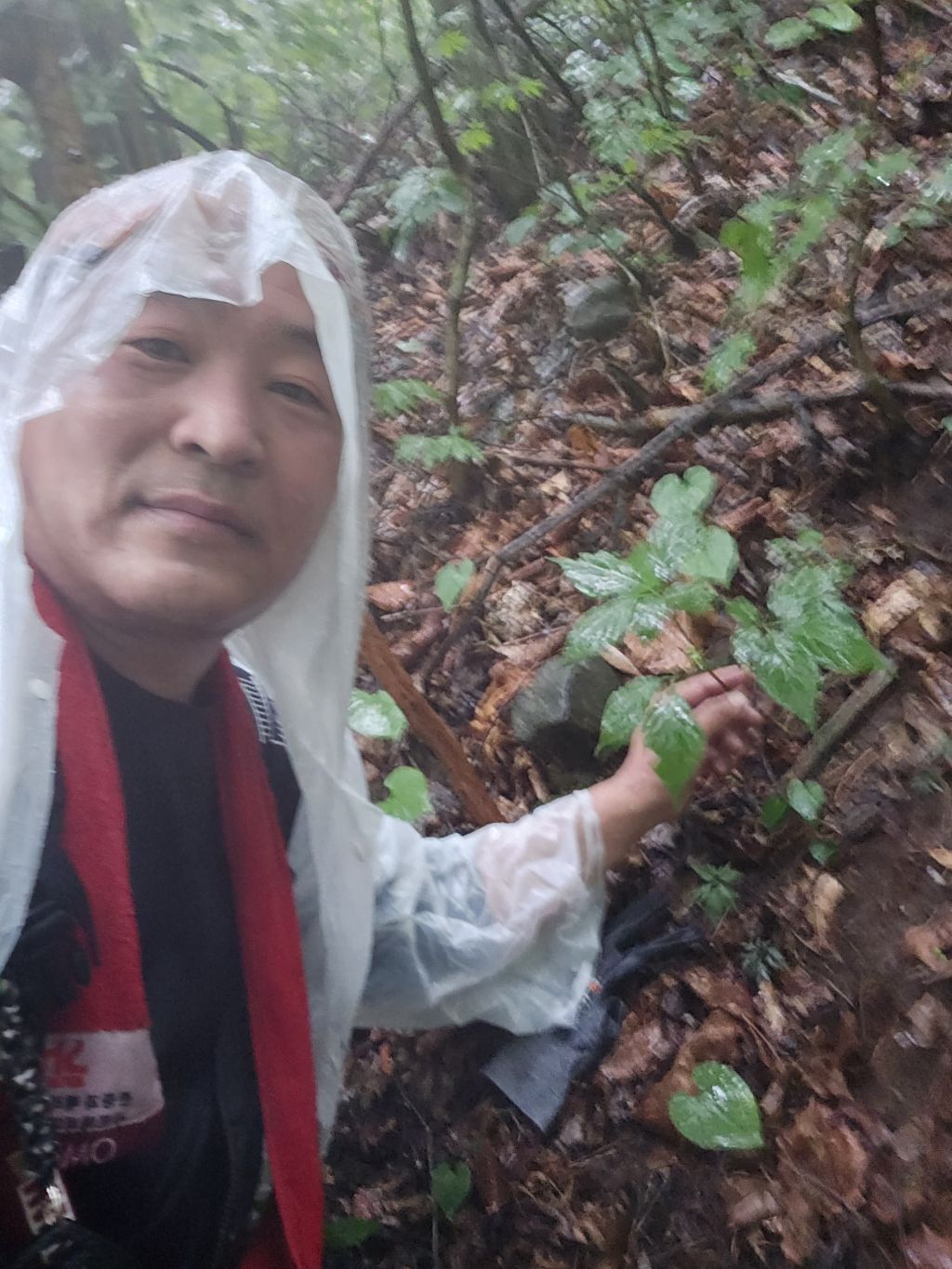 자현당 이미지