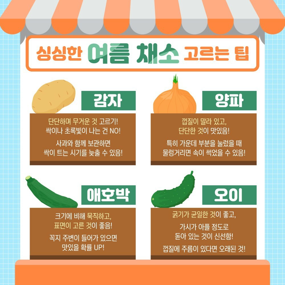 싱싱과일 이미지