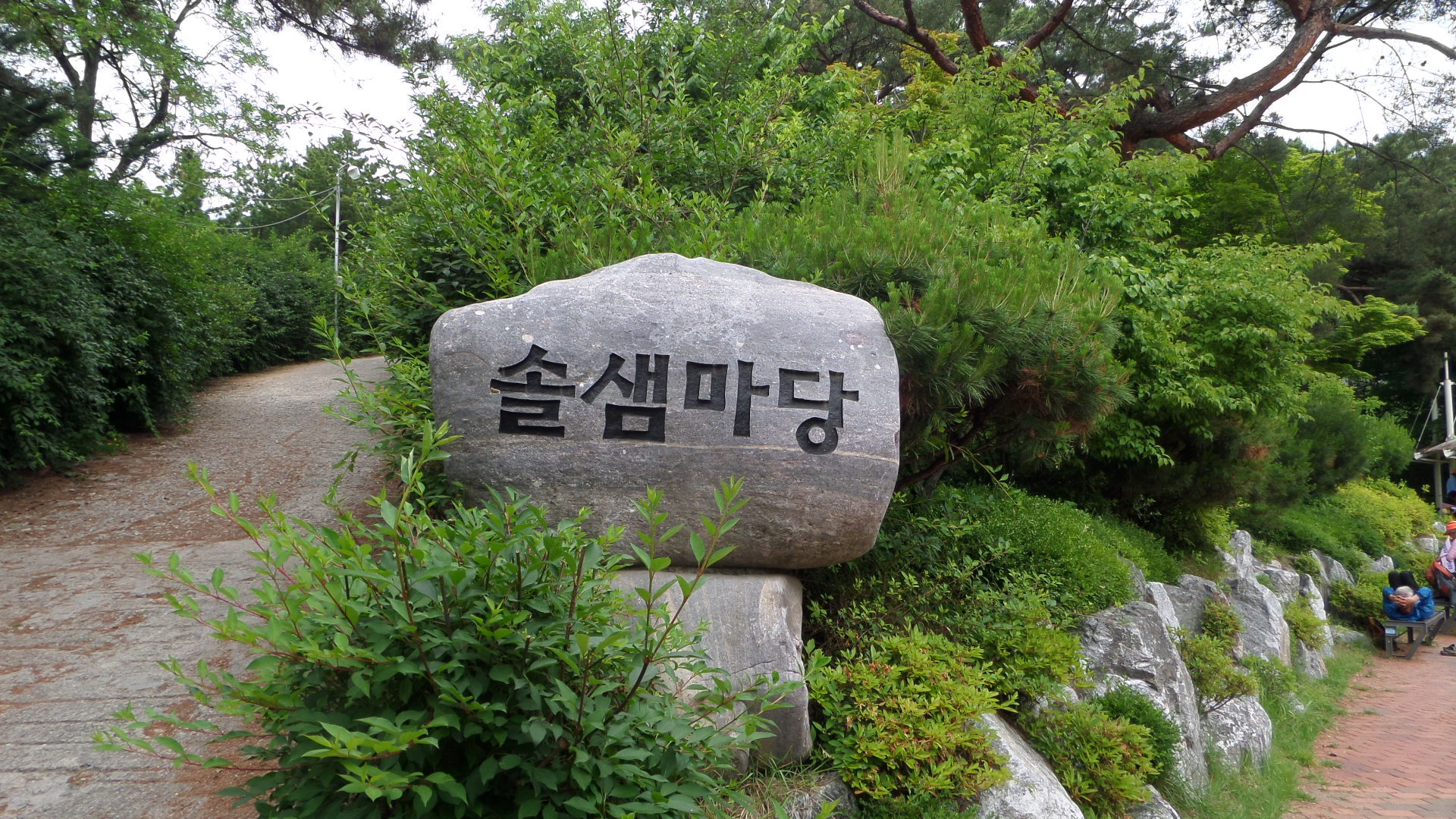 솔샘 이미지