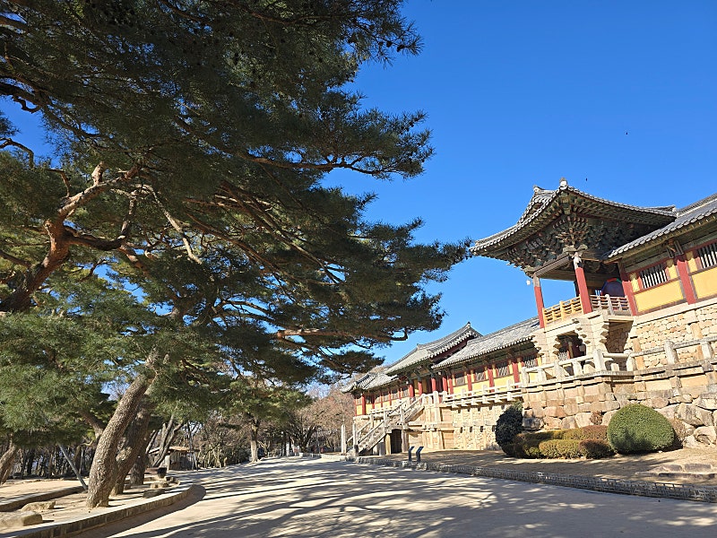 불국사 이미지