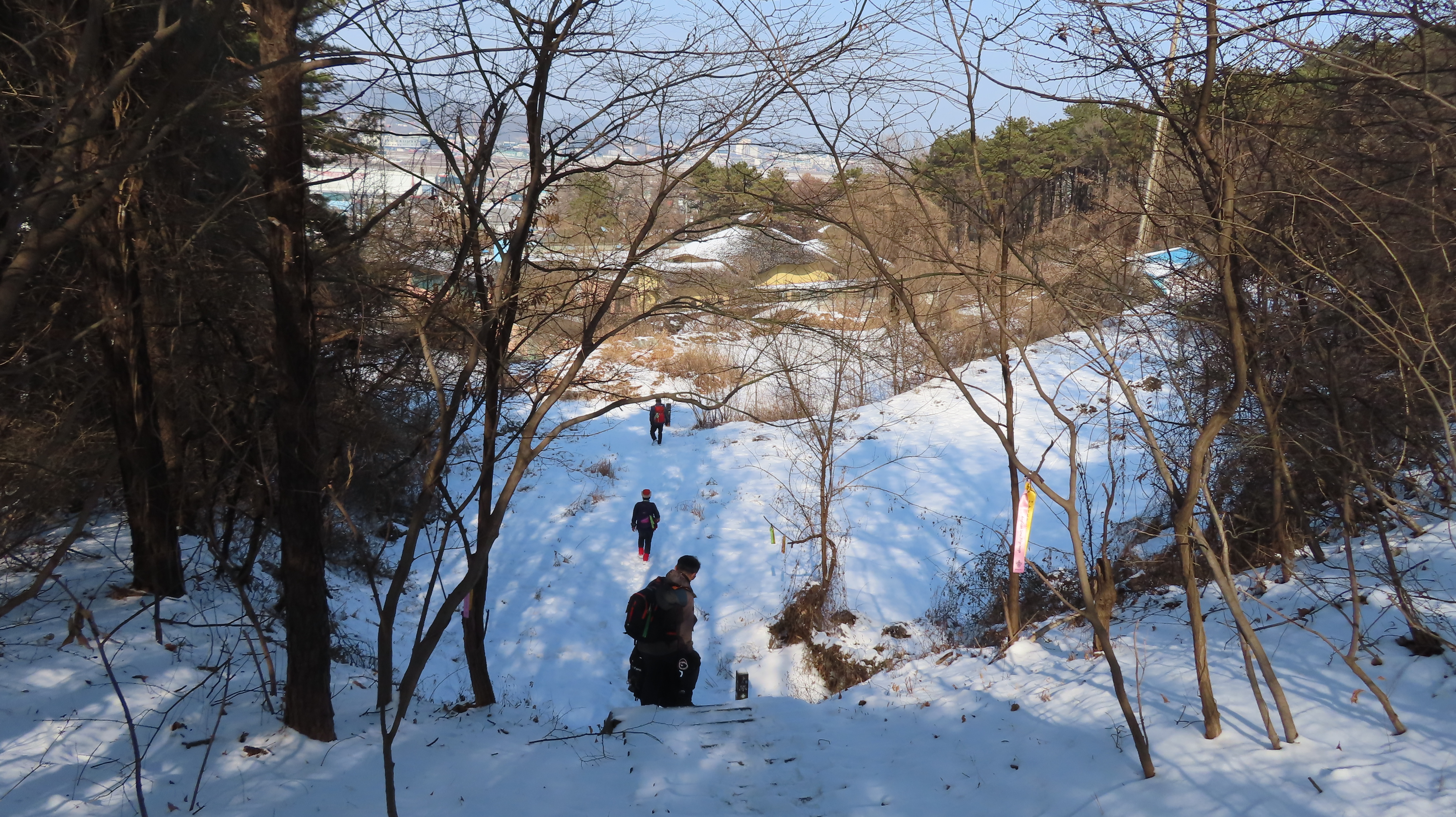 강화농원 이미지