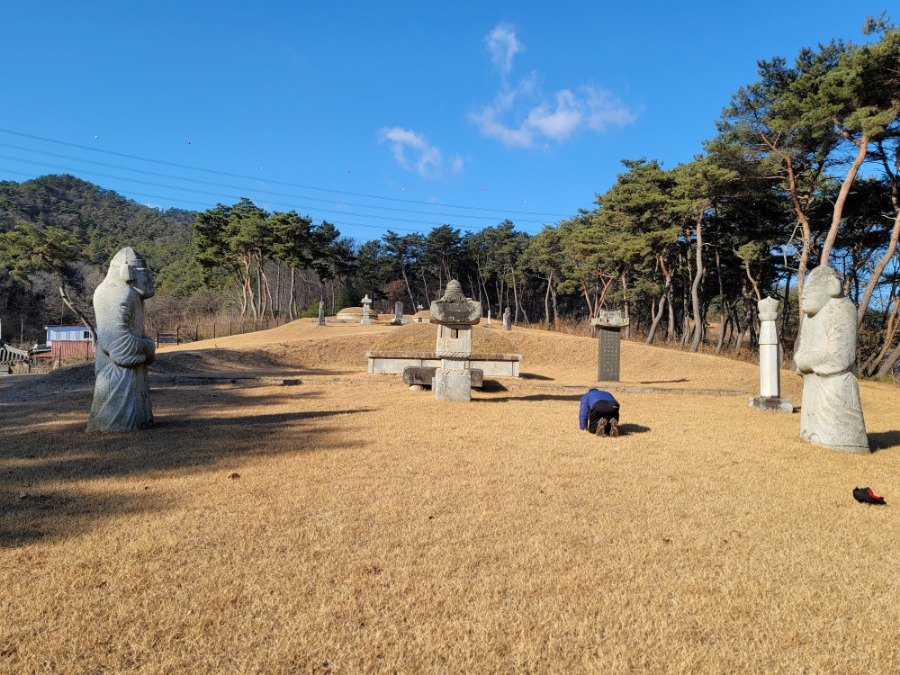 금조명 이미지