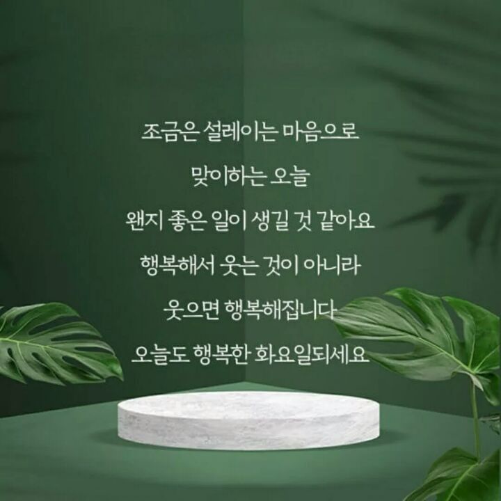 천하카센타 이미지