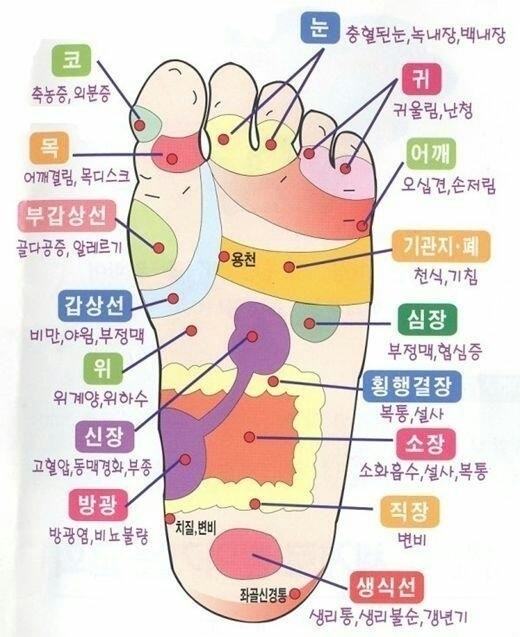 천하카센타 이미지