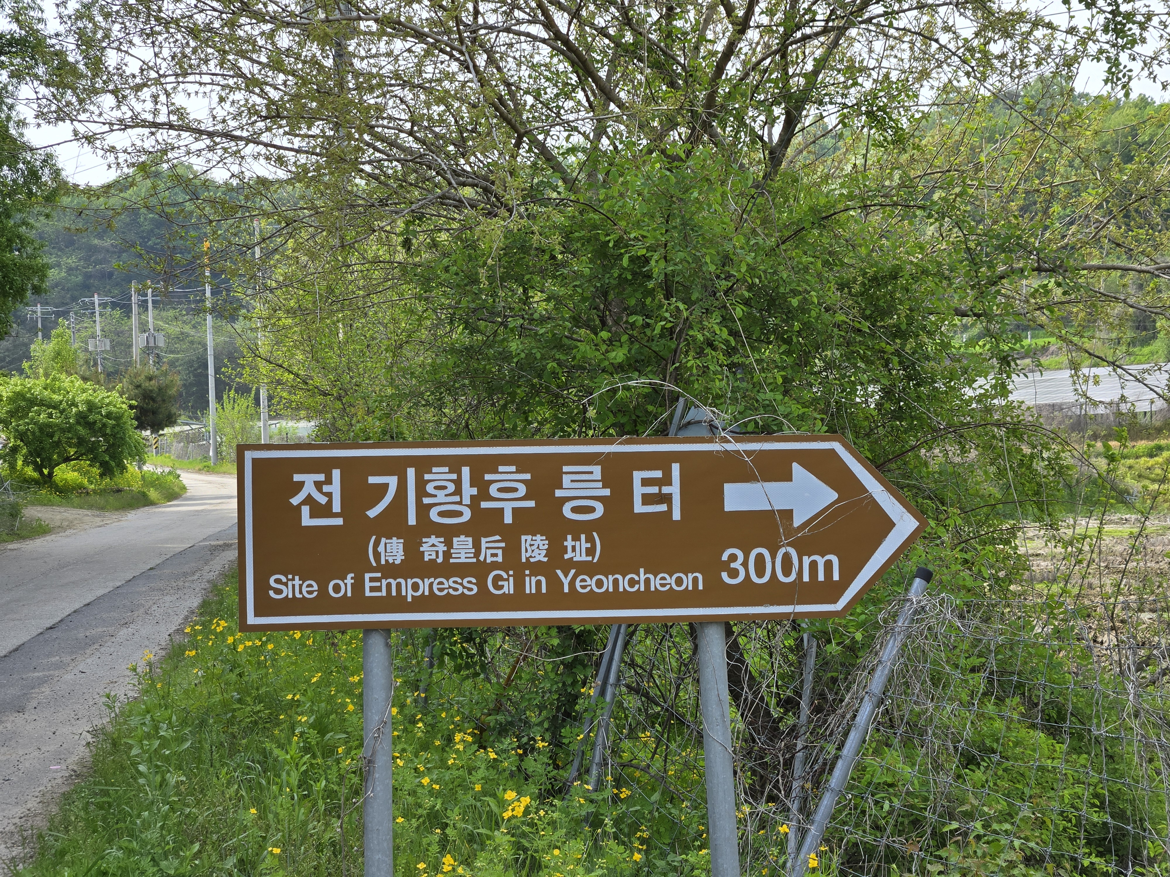 황태자왕대패 이미지