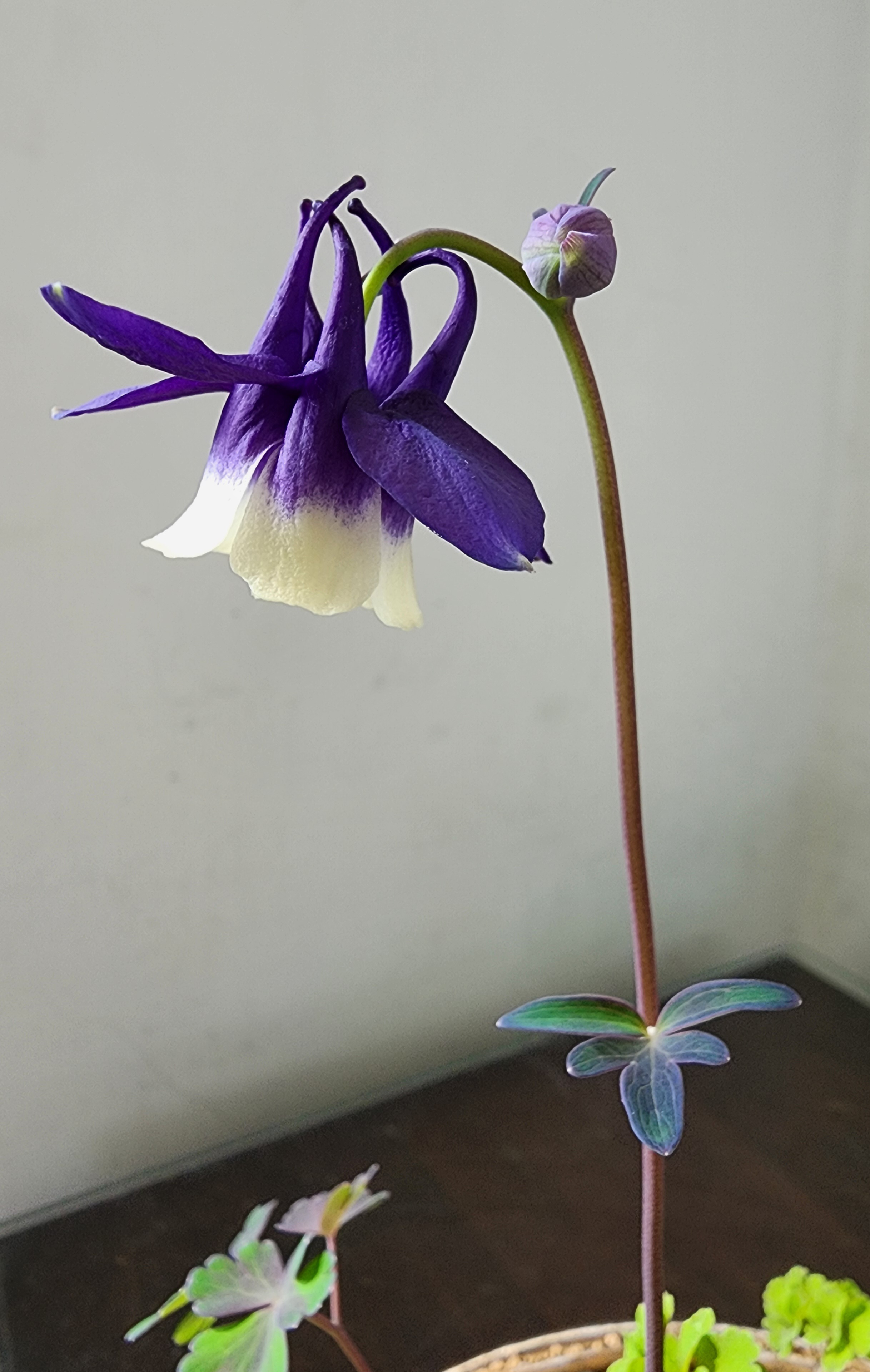 대덕원 이미지