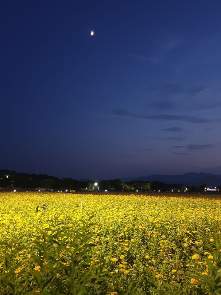 별헤는밤 이미지