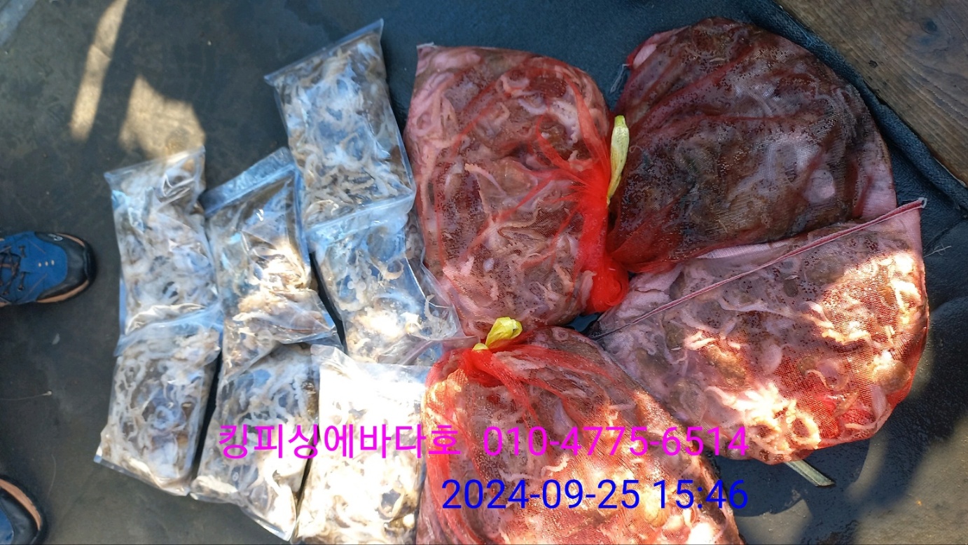 에바다호 이미지