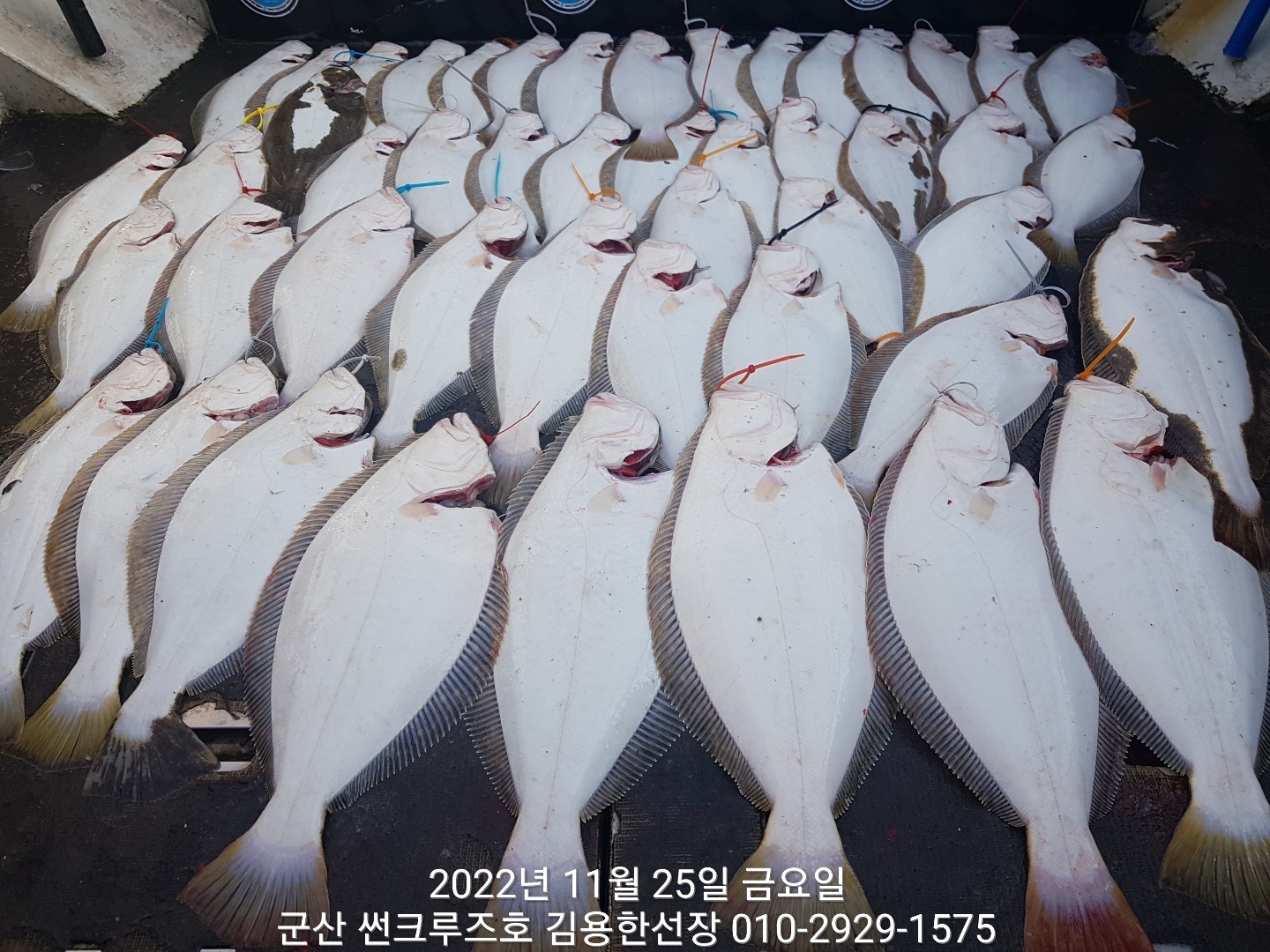 군산대박 이미지
