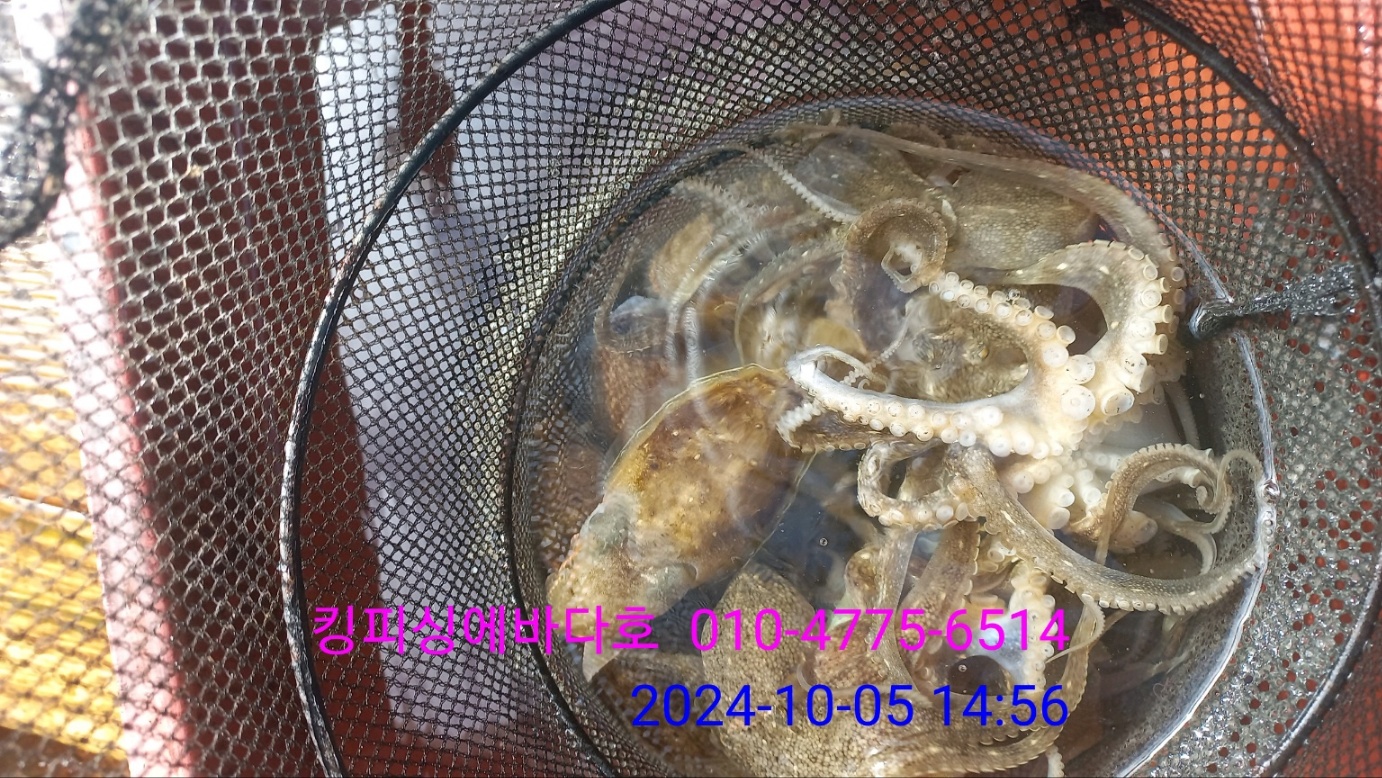 에바다호 이미지