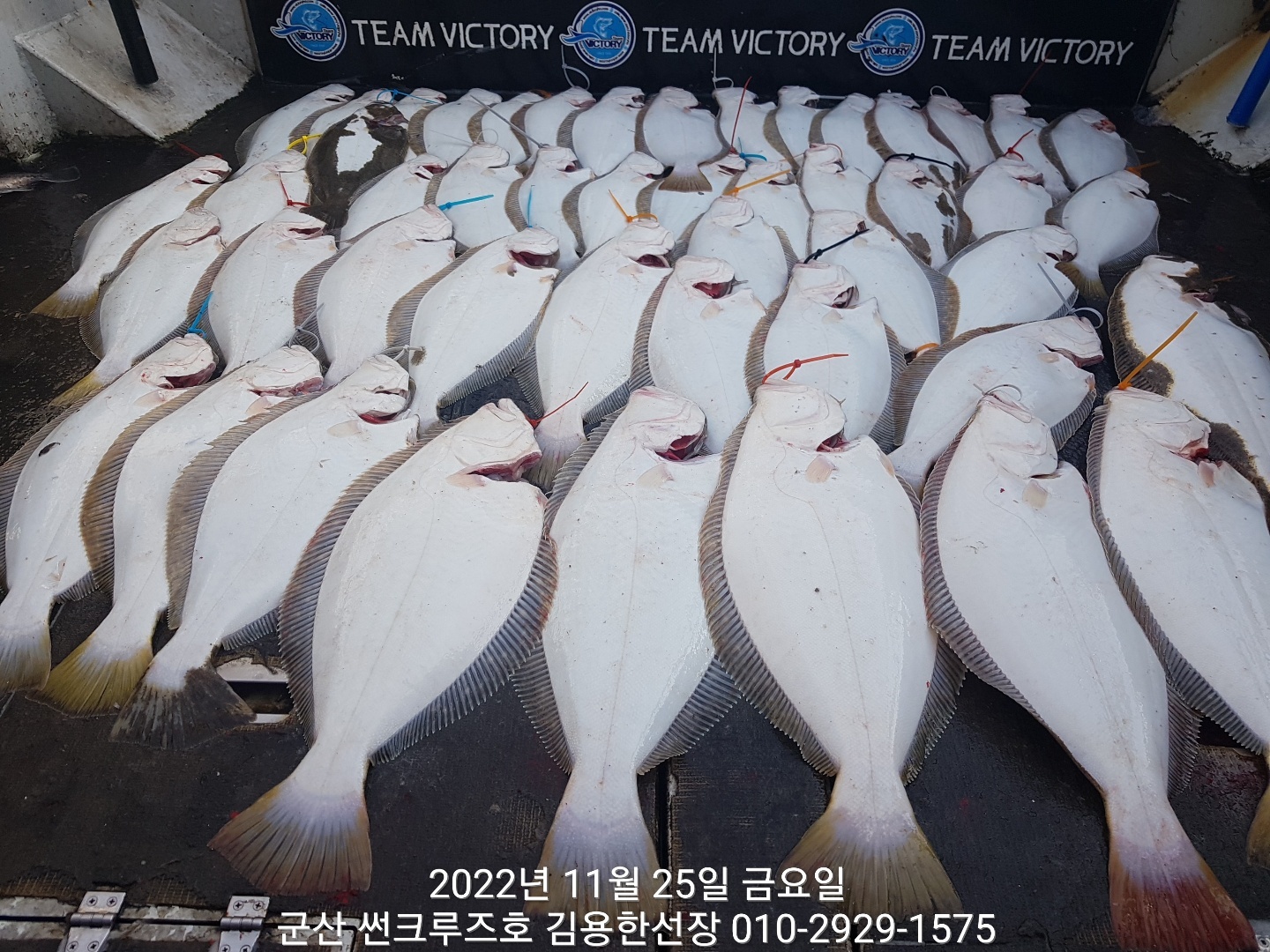 군산대박 이미지