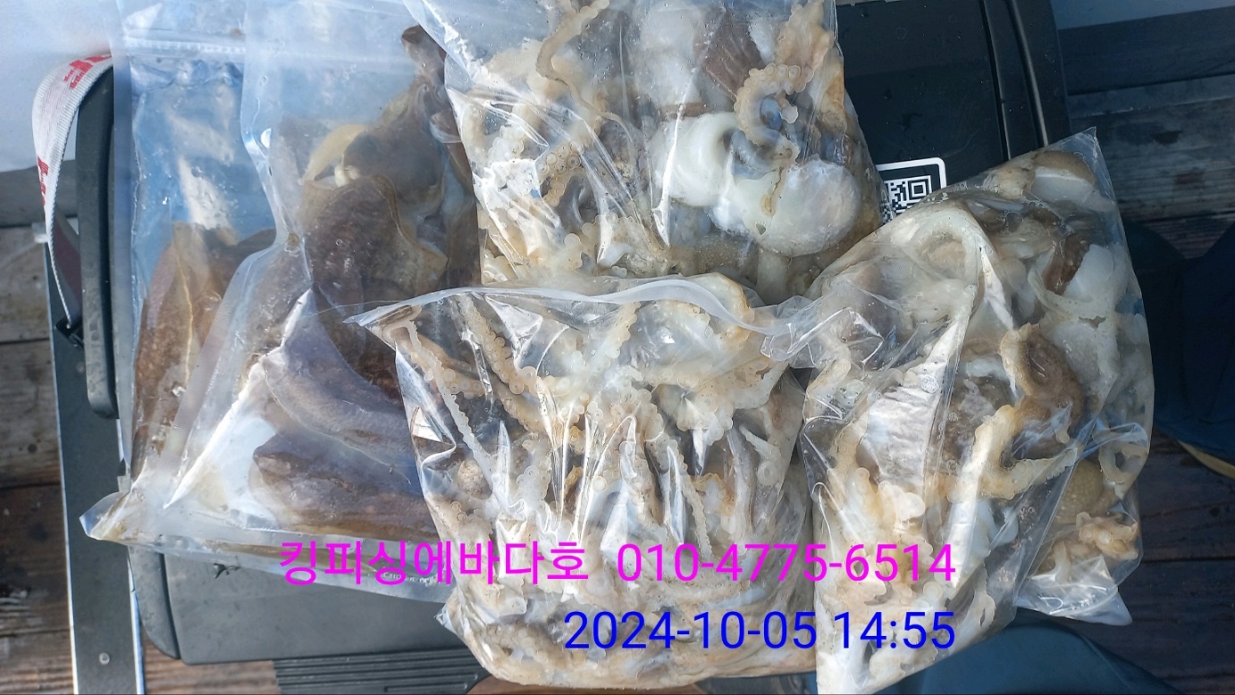 에바다호 이미지