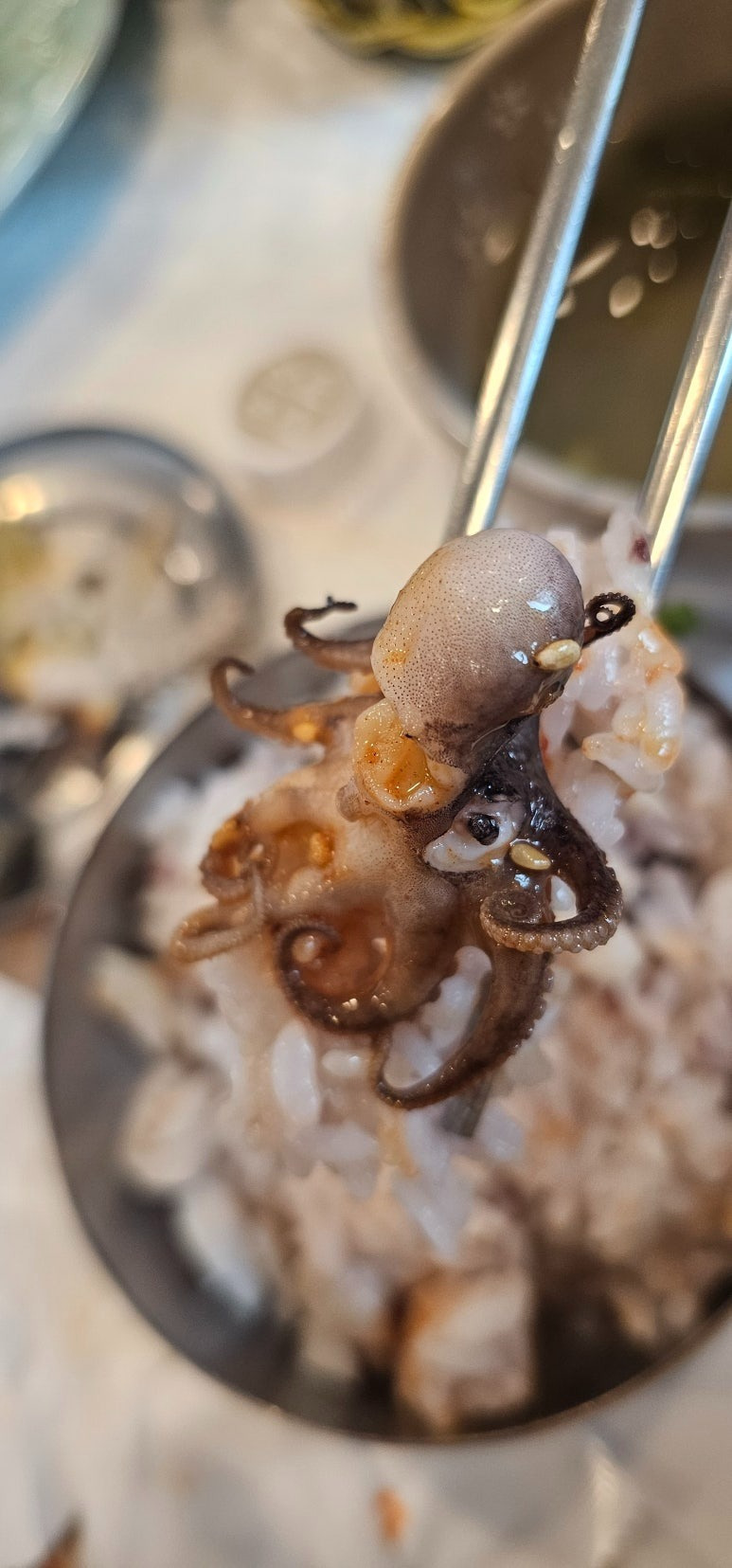 불고기맛집 이미지