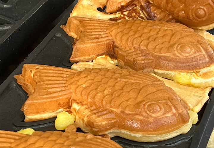 왔다맛집 이미지