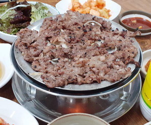 솥쟁이 이미지