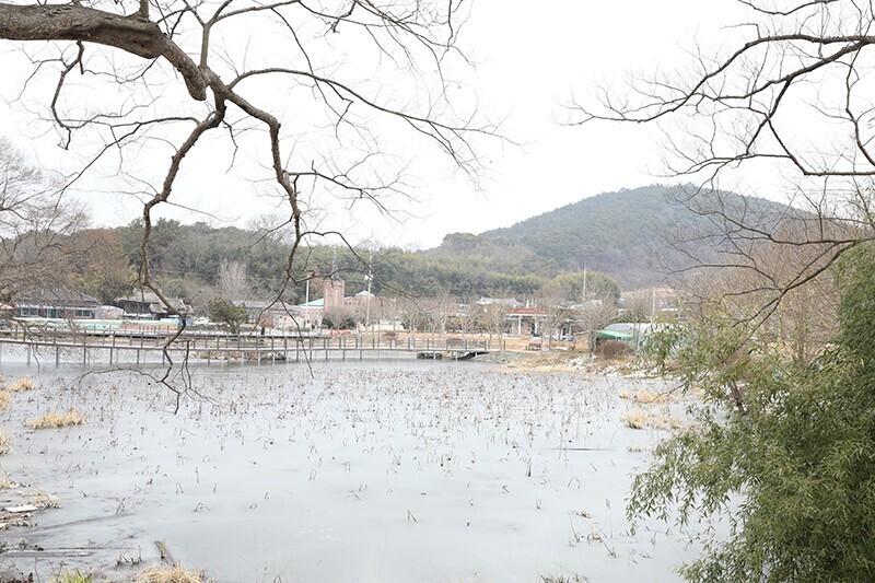 남도새우젓 이미지