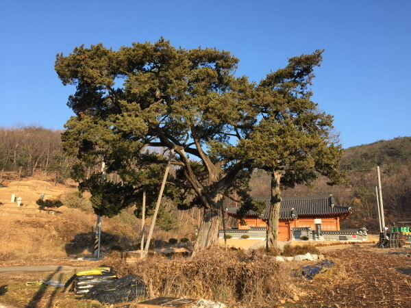 반룡가든 이미지