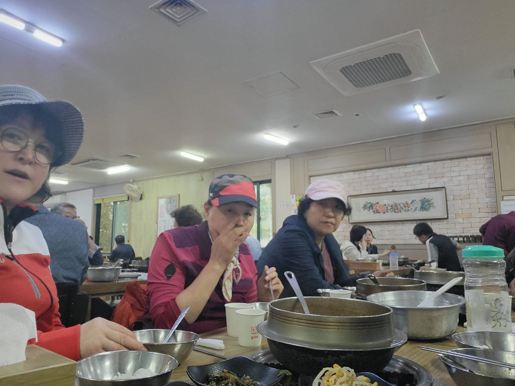 라이언의보물섬 이미지