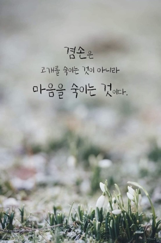정심 이미지