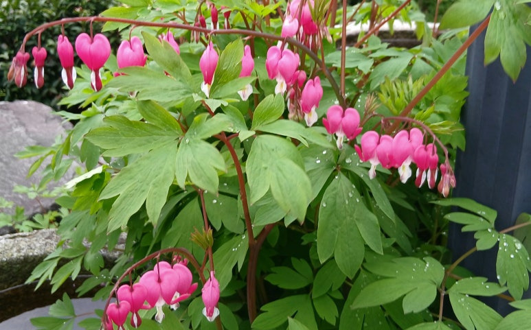 97abaac22078f0be4261bbb298c97a584ed21efb