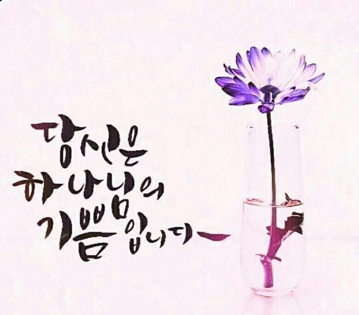 본향 이미지