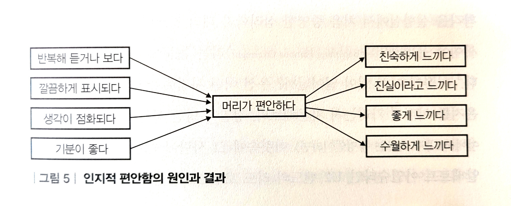 인지망 이미지