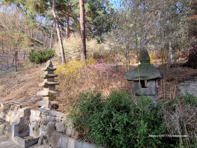 삼정사 이미지