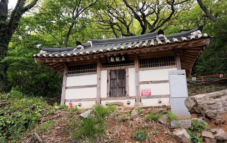 오룡 이미지