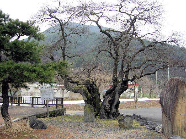 서촌마을 이미지