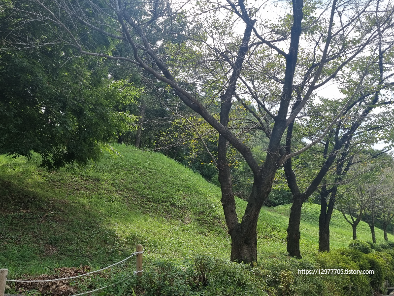 신라화원 이미지