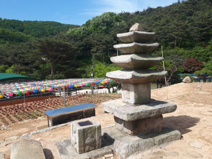 마루우동 이미지