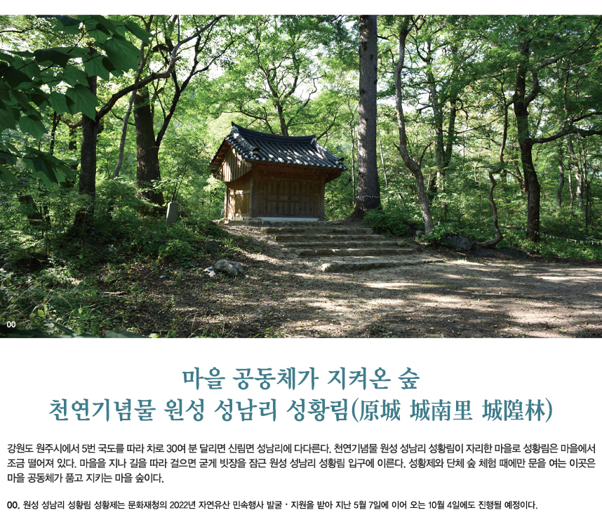 온숲 이미지