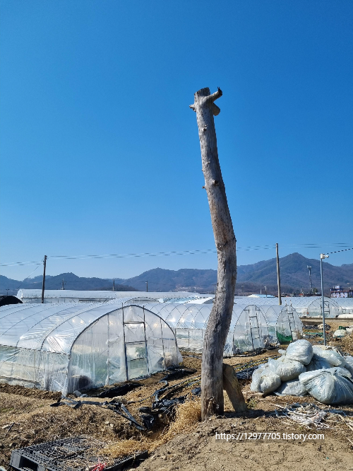중학마을 이미지